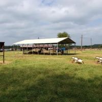 Vinita 80 Acres images 3