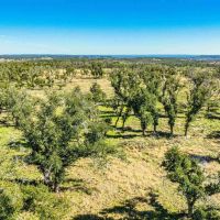 Gillespie County Hilltop Ranch N of Fredericksburg