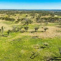 Gillespie County Hilltop Ranch N of Fredericksburg images 4