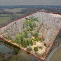 Perfect Wooded Land for Hunting Hiking or Just Getting Away images 2