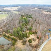 Perfect Wooded Land for Hunting Hiking or Just Getting Away images 3