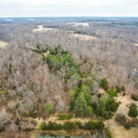 Perfect Wooded Land for Hunting Hiking or Just Getting Away images 4