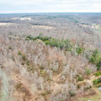 Perfect Wooded Land for Hunting Hiking or Just Getting Away images 5