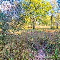 S 4190 Road images 4