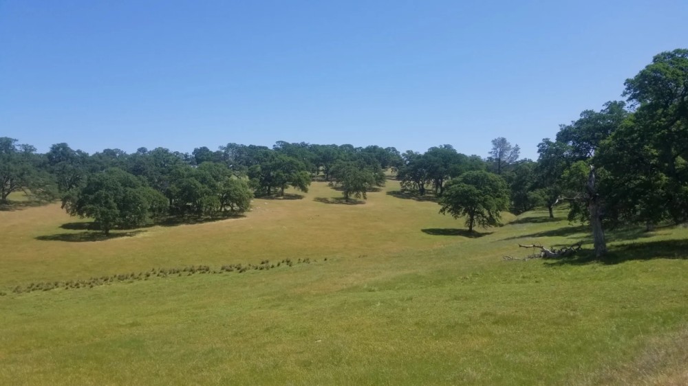 24142 Perimeter Road Grass Valley featured image