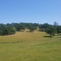 24142 Perimeter Road Grass Valley