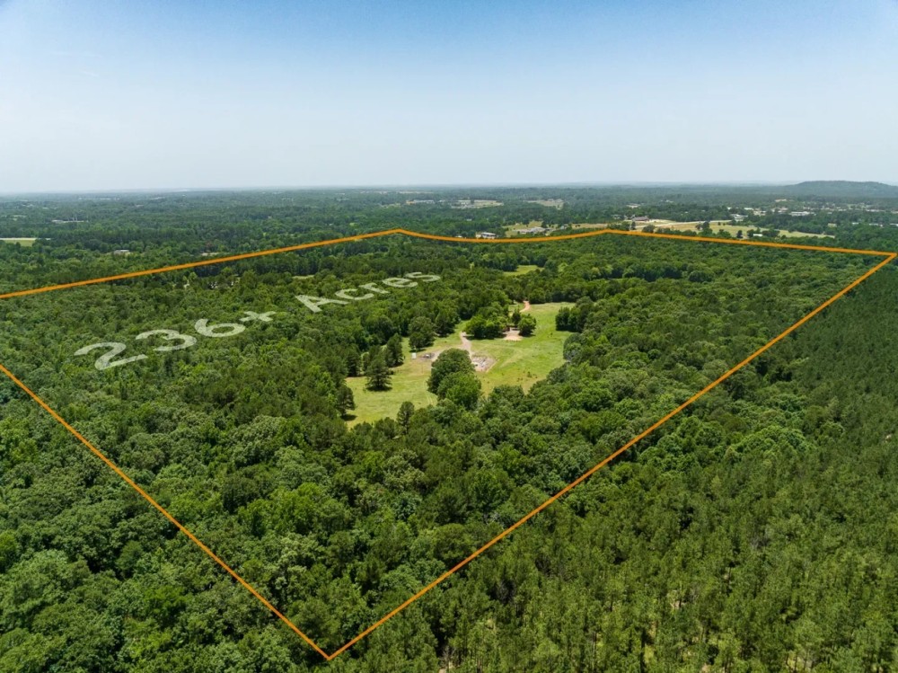 1425 State Hwy 300 Gilmer Tx 75644 featured image