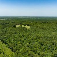 1425 State Hwy 300 Gilmer Tx 75644 images 3