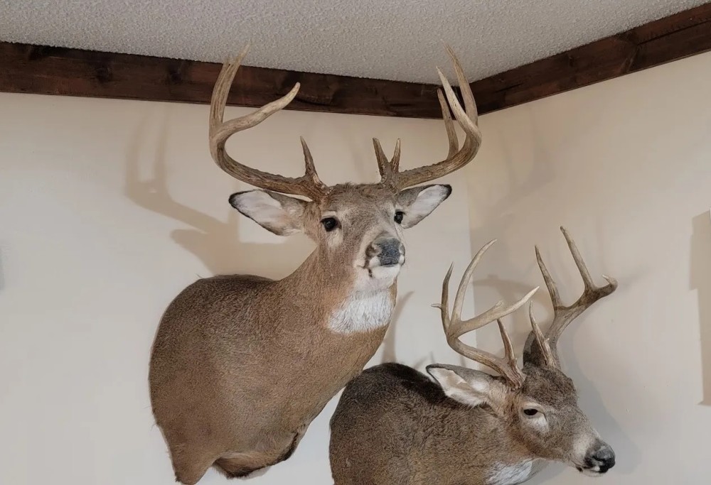 84 Acres In Vigo County Indiana featured image