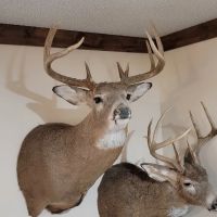 84 Acres In Vigo County Indiana