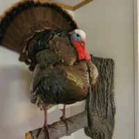84 Acres In Vigo County Indiana images 2