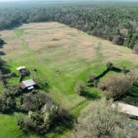 Hunting Recreational Land For Sale Clarksville TX images 3