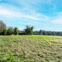 Hunting Recreational Land For Sale Clarksville TX images 5