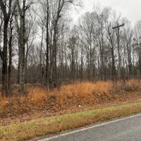 MS - Jefferson 254 acres - images 5