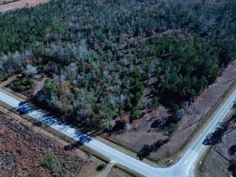 4.5 - Acre Corner Lot For Sale in Pender County NC featured image