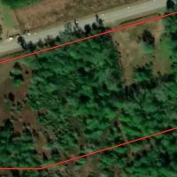 4.5 - Acre Corner Lot For Sale in Pender County NC images 2