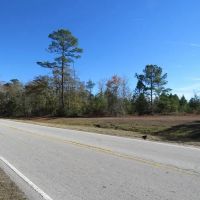 4.5 - Acre Corner Lot For Sale in Pender County NC images 3