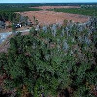 4.5 - Acre Corner Lot For Sale in Pender County NC images 4