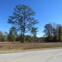 4.5 - Acre Corner Lot For Sale in Pender County NC images 5