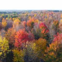 Price County Wisconsin 917 Acres For Sale