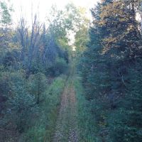 Price County Wisconsin 917 Acres For Sale images 4