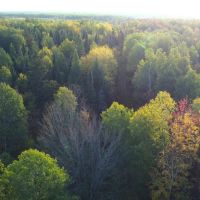 Price County Wisconsin 917 Acres For Sale images 5