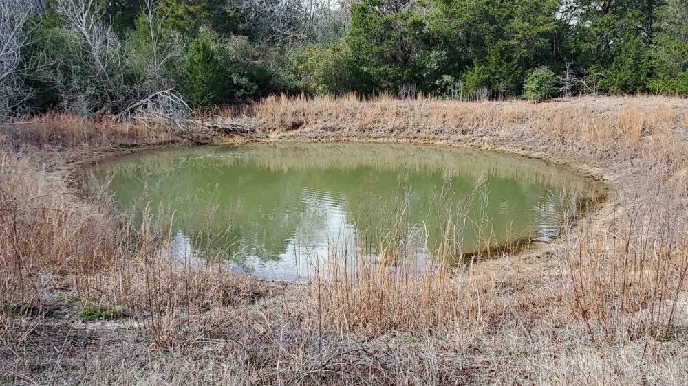 45 Wooded Acres featured image