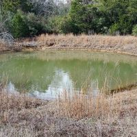 45 Wooded Acres