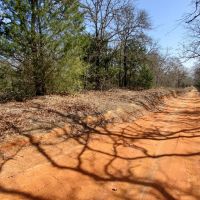 45 Wooded Acres images 2