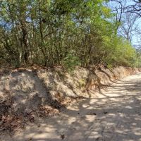 45 Wooded Acres images 3
