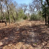 45 Wooded Acres images 4