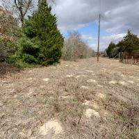45 Wooded Acres images 5