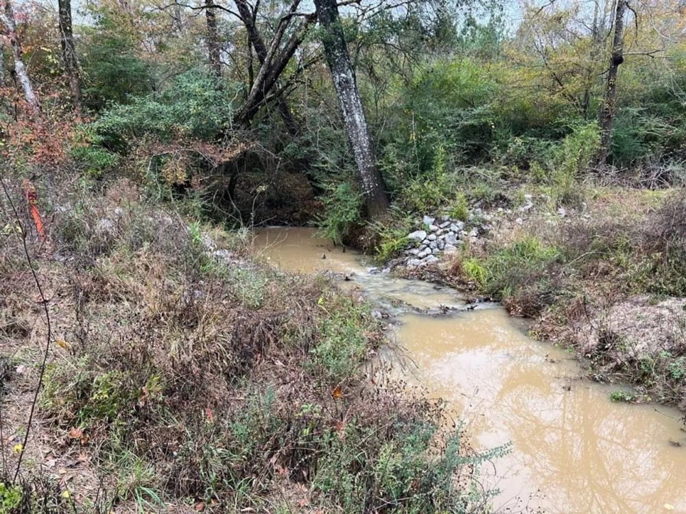 Fantastic Homesite Recreational Hunting Tract in SW MS featured image