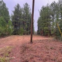Fantastic Homesite Recreational Hunting Tract in SW MS images 3