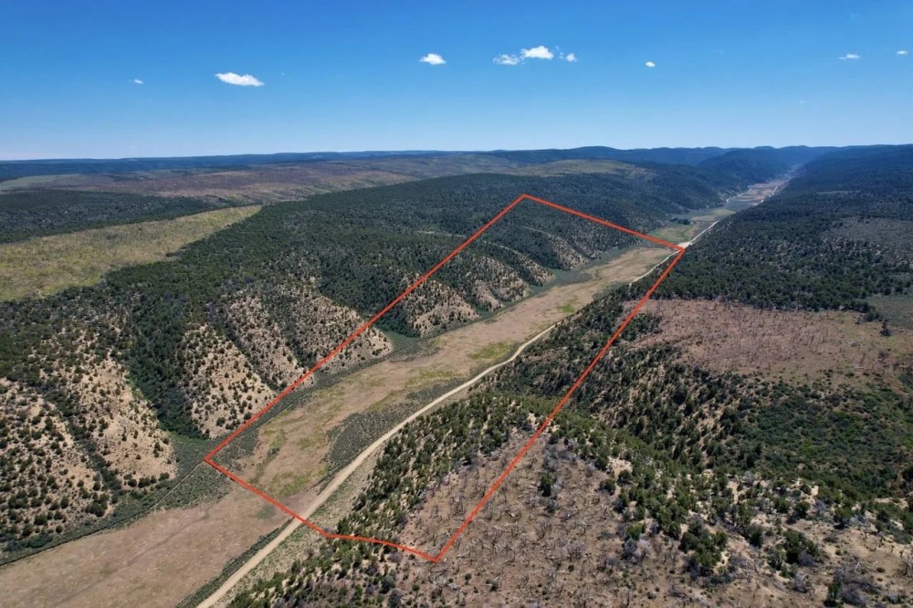 Rifle Colorado Mountain 120 Acres for Sale featured image