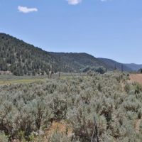 Rifle Colorado Mountain 120 Acres for Sale images 3