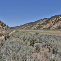 Rifle Colorado Mountain 120 Acres for Sale images 4