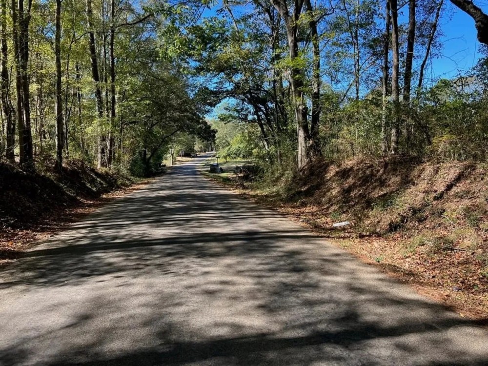 Great Timberland Hunting Tract in Southwest Mississippi featured image