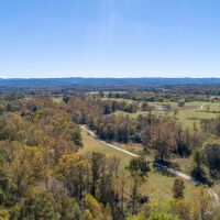 Working Cattle Ranch in Mena Arkansas images 3