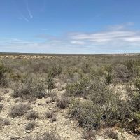 Amistad Ranch images 2