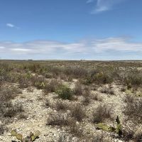 Amistad Ranch images 5