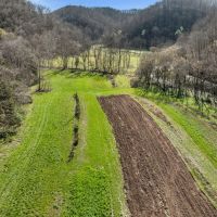 138 - acres of hunting recreational land located in Jackson County Tennessee images 2