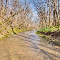 138 - acres of hunting recreational land located in Jackson County Tennessee images 3