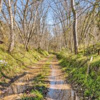 138 - acres of hunting recreational land located in Jackson County Tennessee images 4