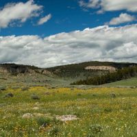 Indart Ranch images 3