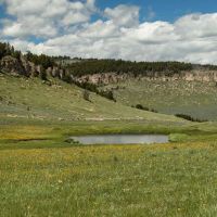 Indart Ranch images 4