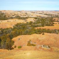 Recreational Ranch Land For Sale Thomas Oklahoma images 5