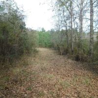 13 Acre Amite County Tract For Sale