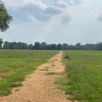 34.9 Acres Lincoln County MS Pasture Property For Sale images 2