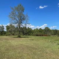 Home and Pasture Property For Sale Close to the State Line images 3
